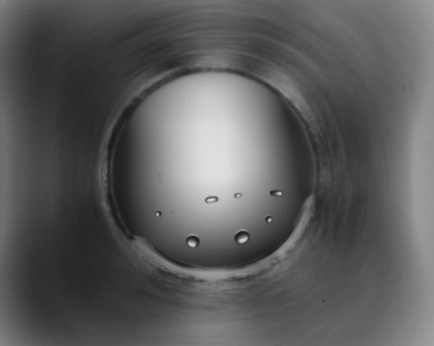 X0000089870992200707121751