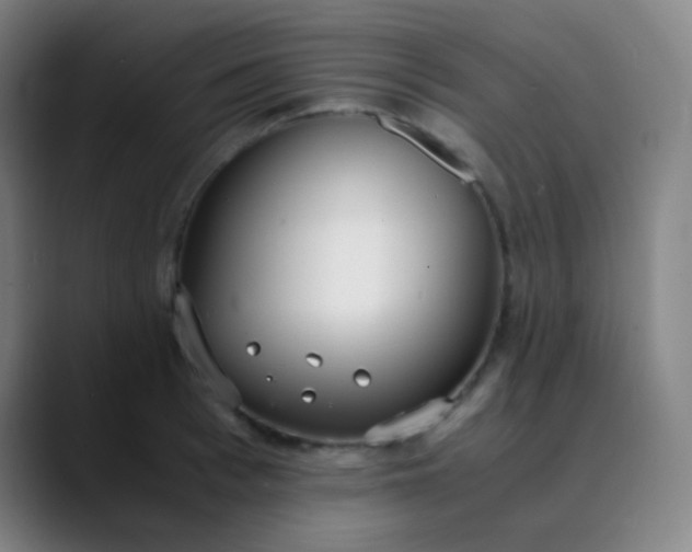 X0000089870993200707121751