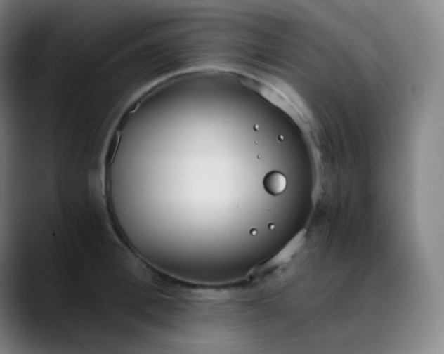 X0000089870996200707121751