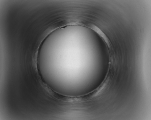 X0000089871002200707121751