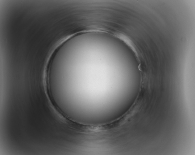 X0000089871003200707121751