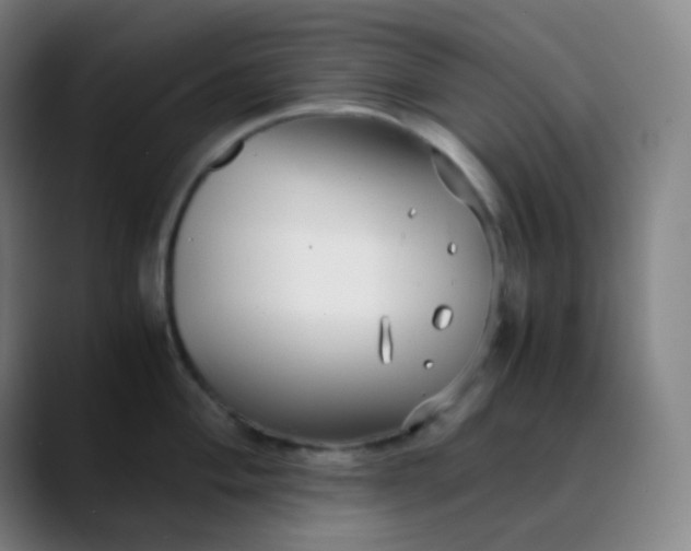 X0000089871004200707121751