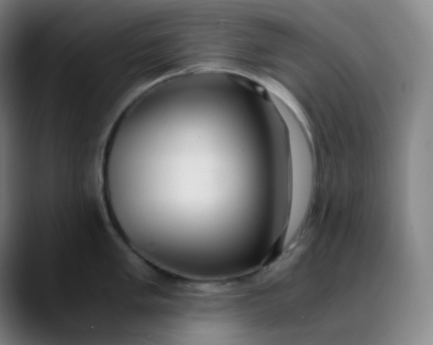 X0000089871005200707121751