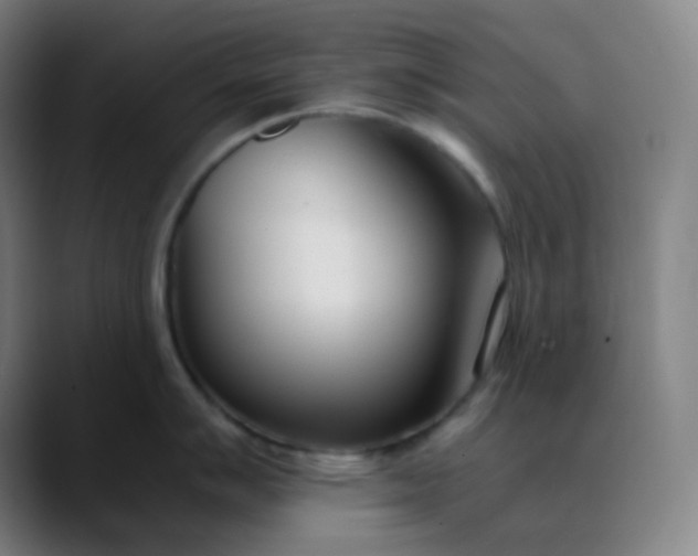 X0000089871007200707121751