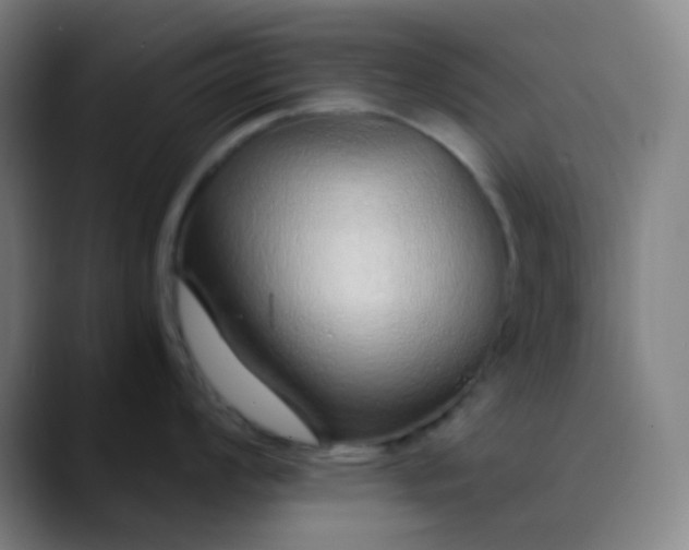 X0000089871008200707121751