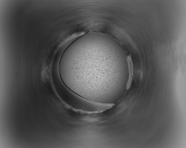 X0000089871010200707121750