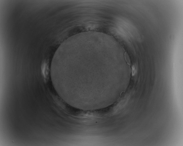 X0000089871011200707121750