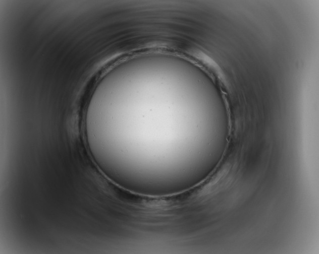 X0000089871019200707121750