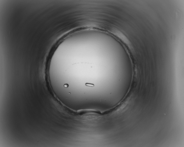 X0000089871020200707121750