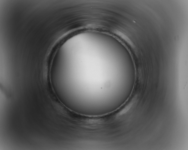 X0000089871021200707121750