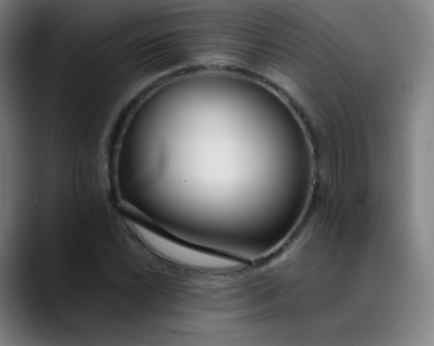 X0000089871022200707121750