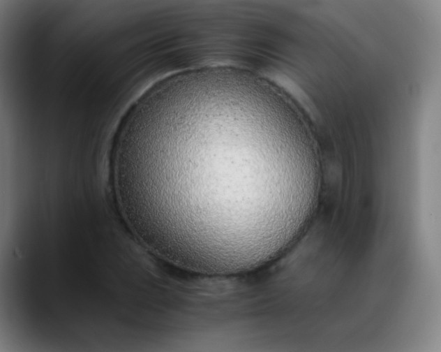 X0000089871023200707121750