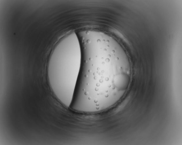 X0000089871025200707121750