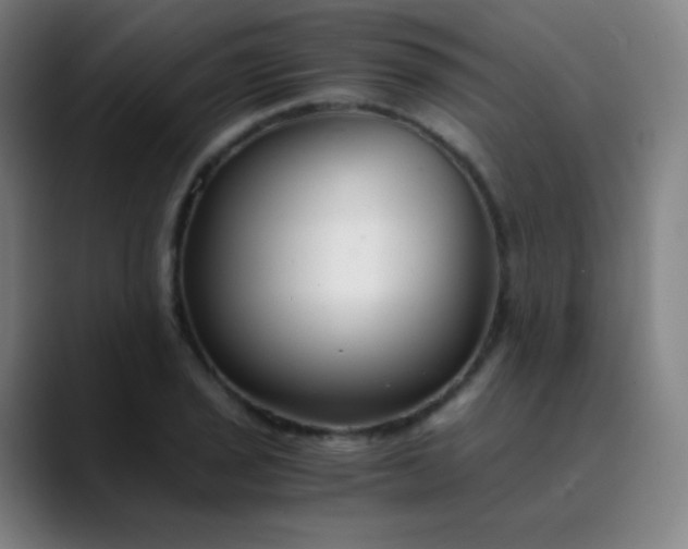X0000089871029200707121750