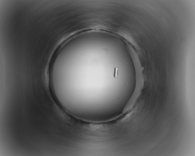 X0000089871032200707121750