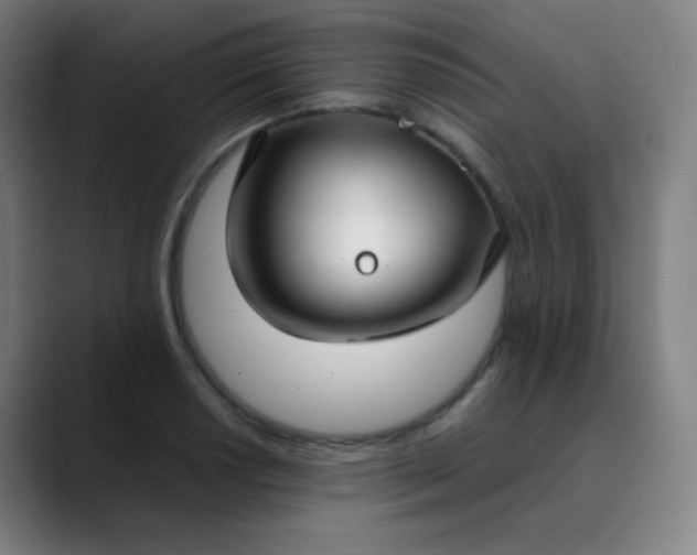 X0000089871034200707121750