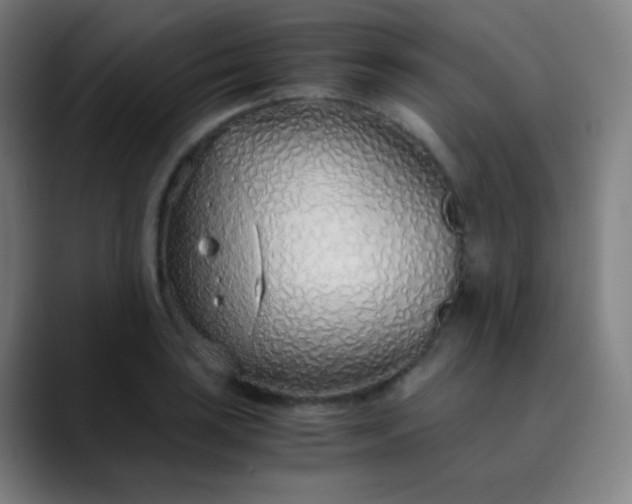 X0000089871035200707121750