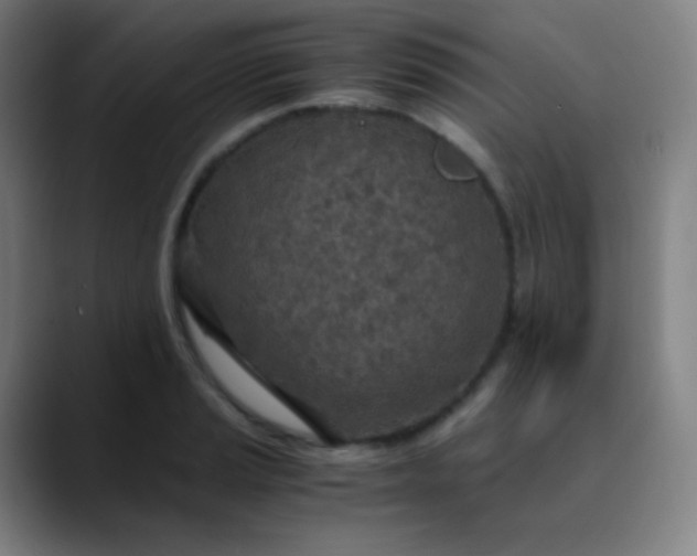 X0000089871037200707121750