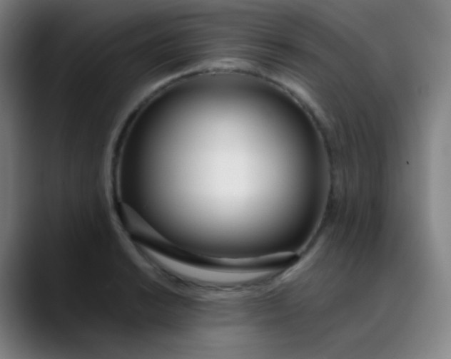 X0000089871038200707121750