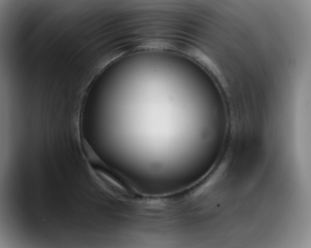 X0000089871041200707121750