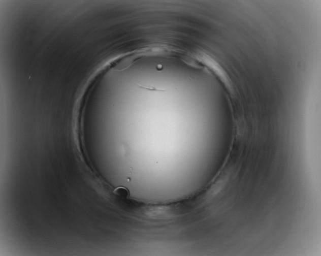 X0000089871043200707121750