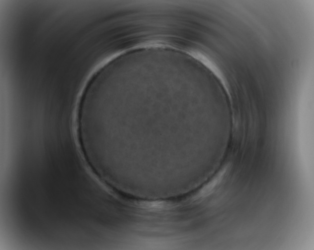 X0000089871045200707121751