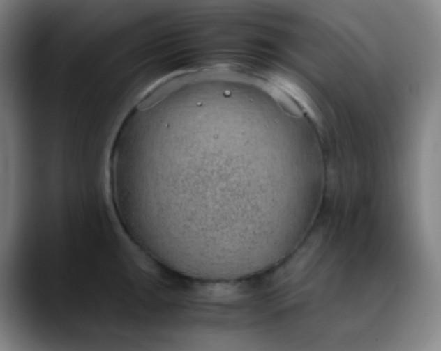 X0000089871047200707121751