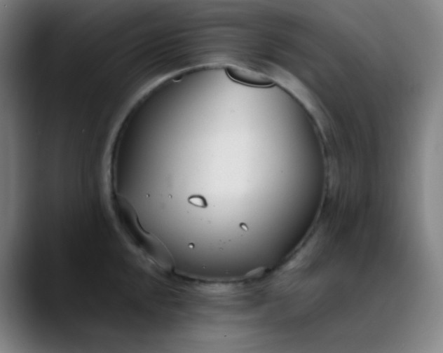 X0000089871048200707121751