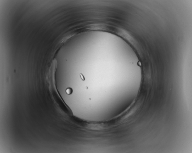 X0000089871049200707121751
