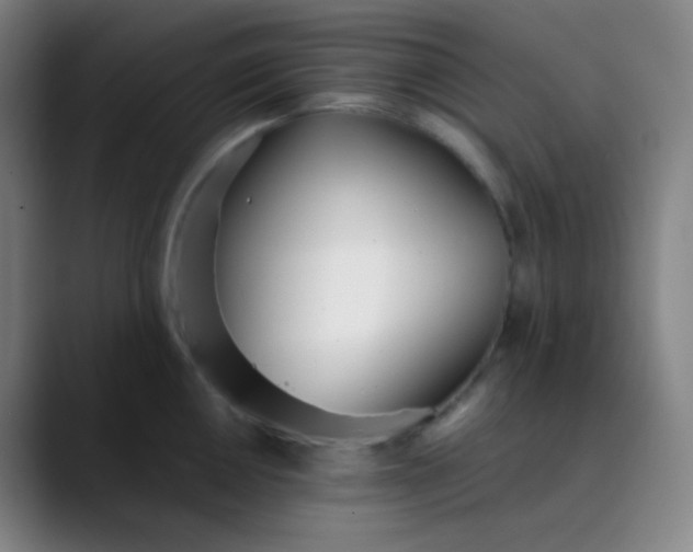 X0000089871050200707121751