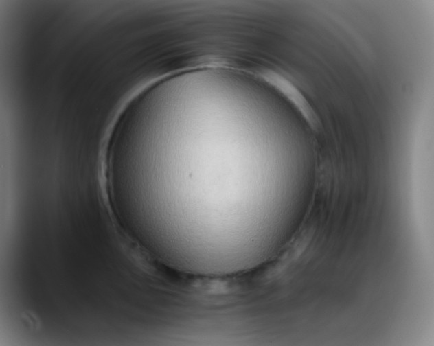 X0000089871051200707121751