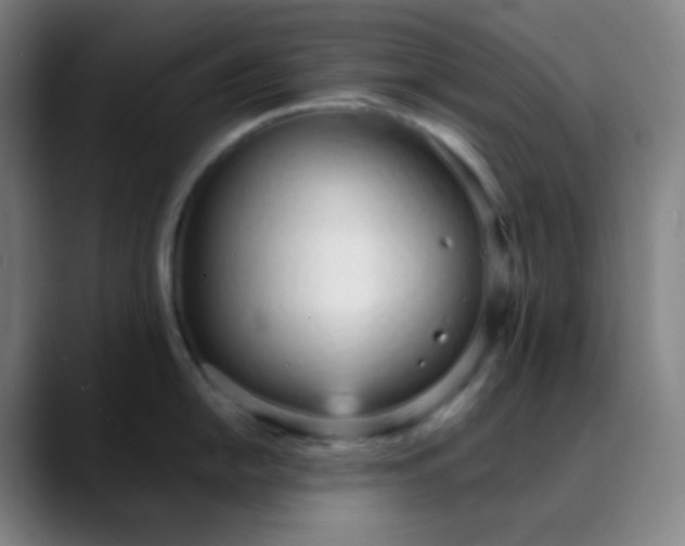 X0000089871054200707121751