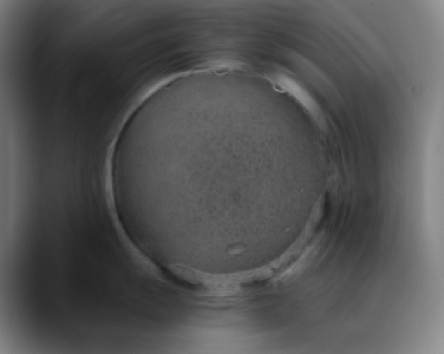 X0000089871055200707121751