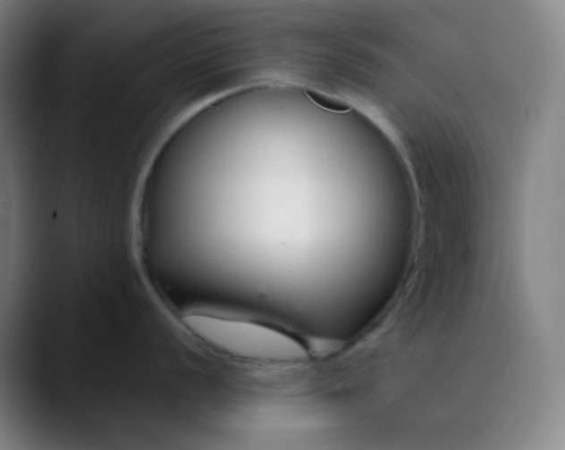 X0000089871056200707121751