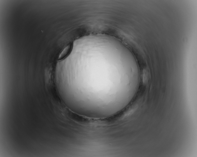 X0000089871059200707121750