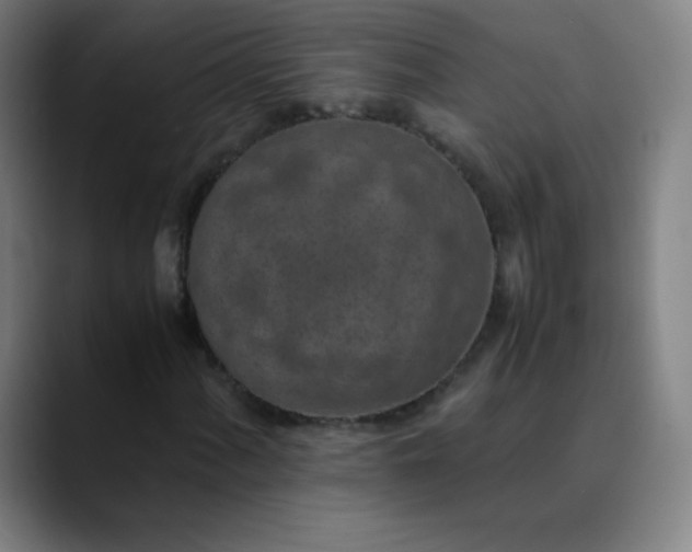 X0000089871060200707121750