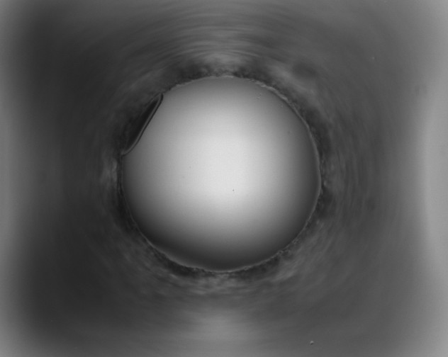 X0000089871061200707121750