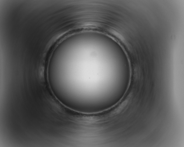 X0000089871066200707121750
