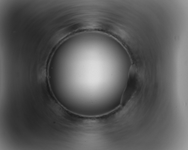 X0000089871073200707121750
