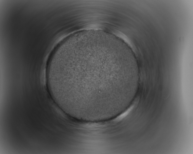 X0000089871075200707121750