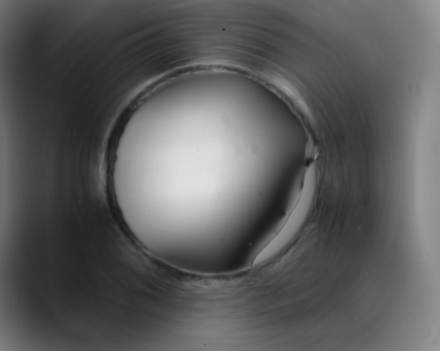 X0000089871076200707121750