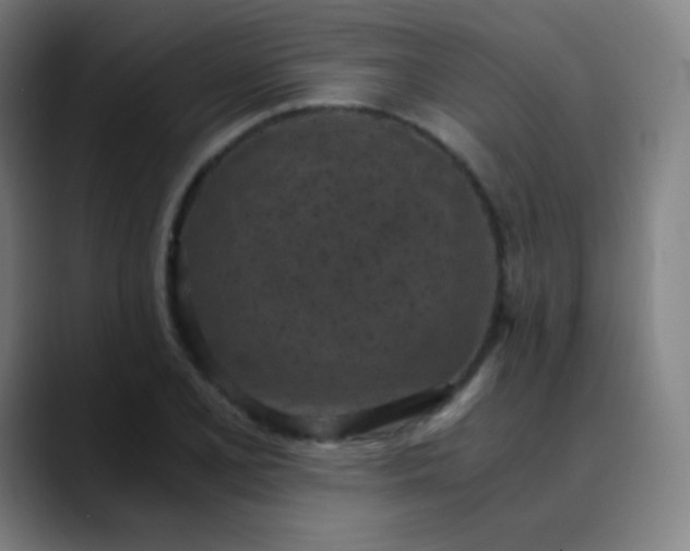 X0000089871077200707121750
