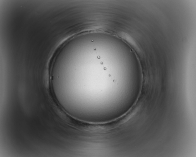 X0000089871079200707121750