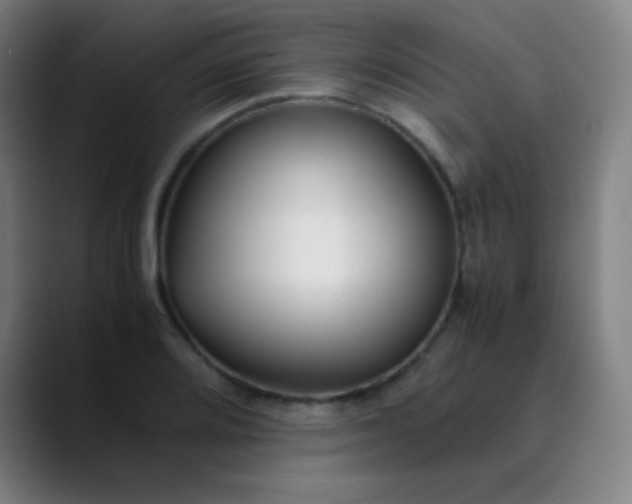 X0000089871080200707121750