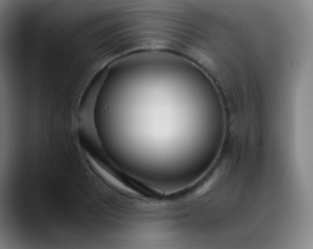 X0000089871081200707121750