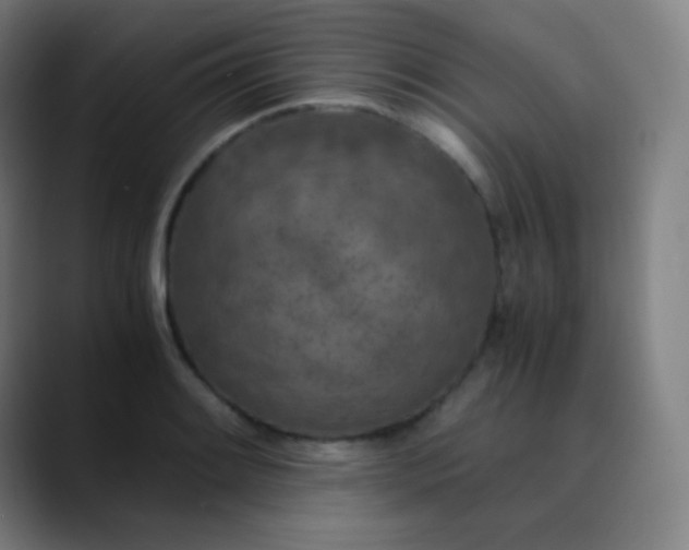X0000089871084200707121750