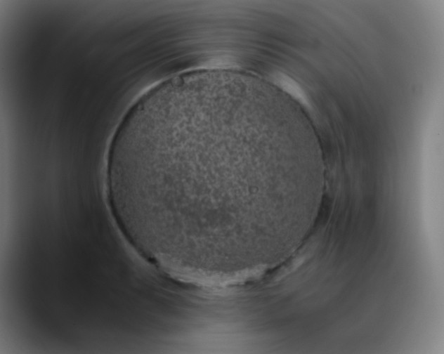 X0000089871087200707121750