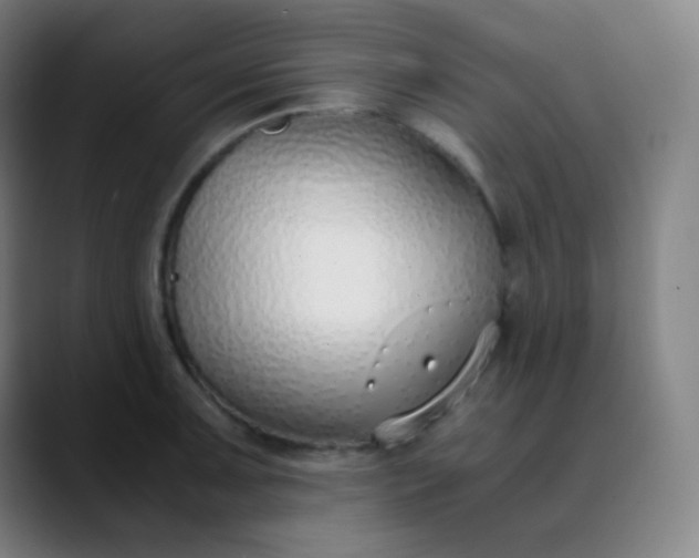X0000089871091200707121750