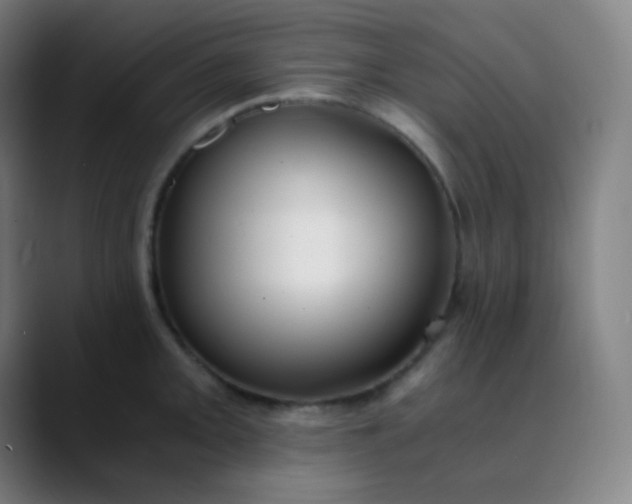 X0000089871093200707121750