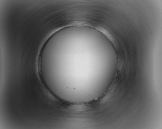 X0000089871094200707121750